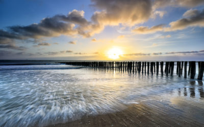 Ein weiterer Beitrag über ein Thema